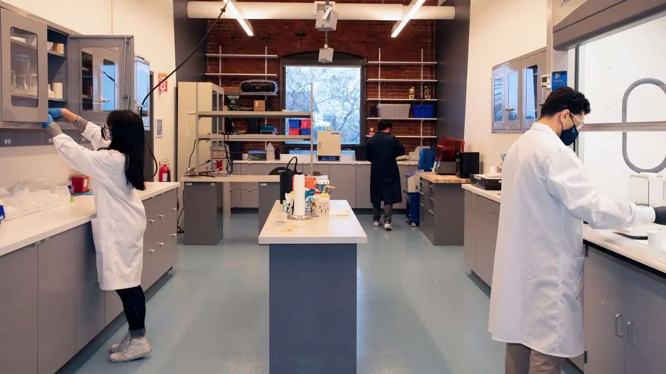 Oportunidades de innovación usuarios